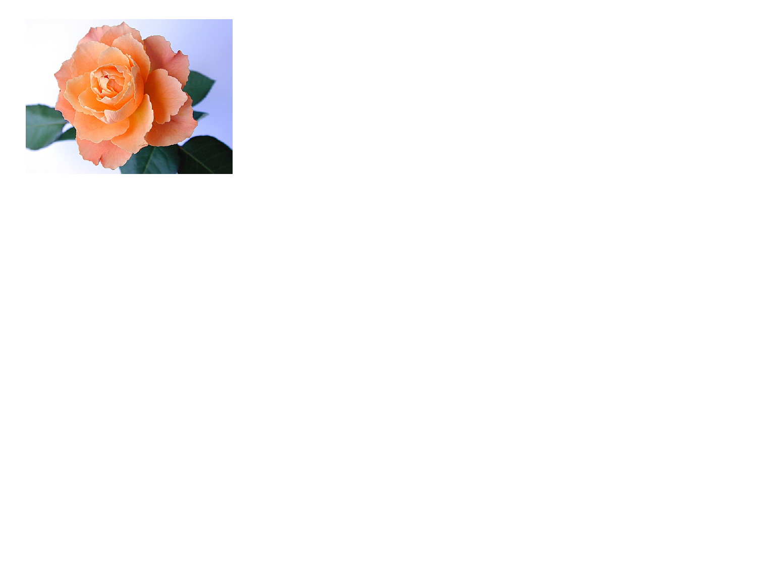 pict1_img2pad.C.png