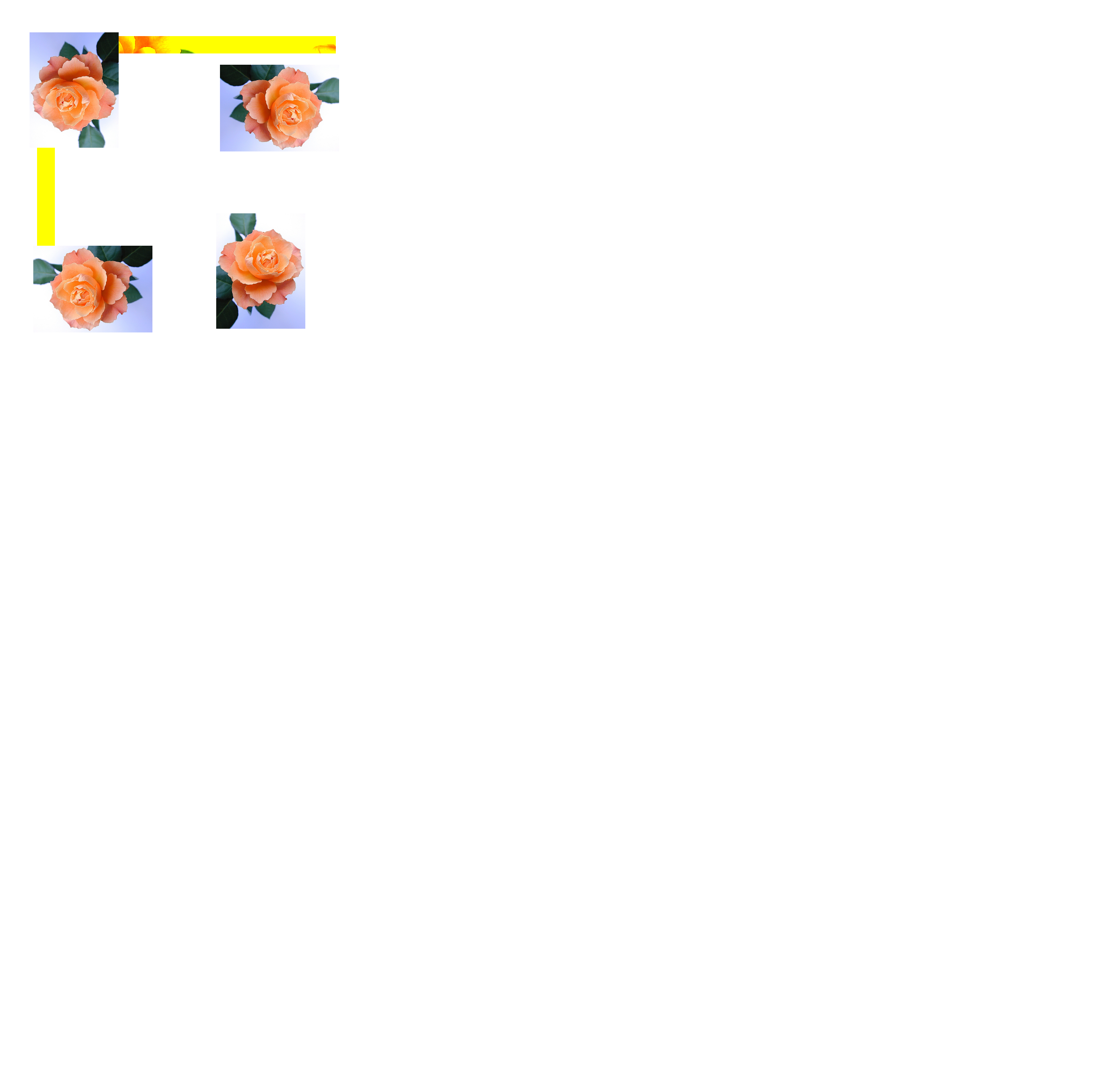 pict2_img2pad.C.png