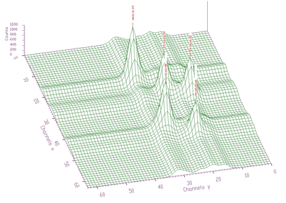 Two-dimensional spectrum with the identified peaks