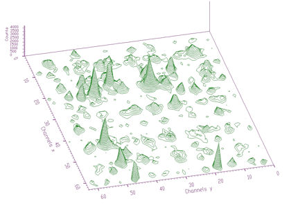 2-dimensional spectrum before deconvolution