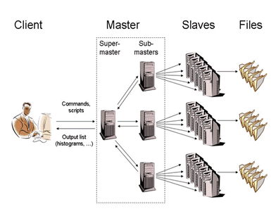 The Multi-tier structure of a PROOF cluster